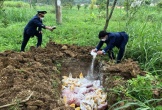 Nghệ An: Vi phạm quy định vệ sinh an toàn thực phẩm bị phạt hơn 3 tỷ đồng