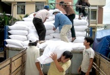 Nghệ An phân bổ 1.140.690 kg gạo hỗ trợ nhân dân thiếu đói trong dịp Tết Nguyên đán Nhâm Dần 2022