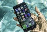 Hy hữu: iPhone ngâm dưới nước suốt 10 tháng vẫn hoạt động bình thường