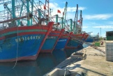 Nghệ An: Hàng nghìn tàu cá nằm bờ, ngư dân “dài cổ” chờ hỗ trợ