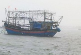 Mất liên lạc với 5 ngư dân ở vùng biển Hà Tĩnh