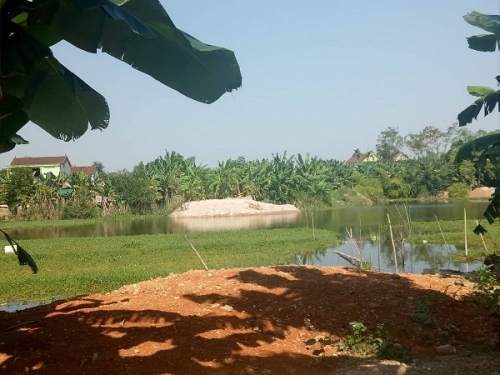 Khu vực bàu Ó thuộc xóm 6, xã Thanh Lương xảy ra tình trạng chiếm dụng đất tràn lan.
