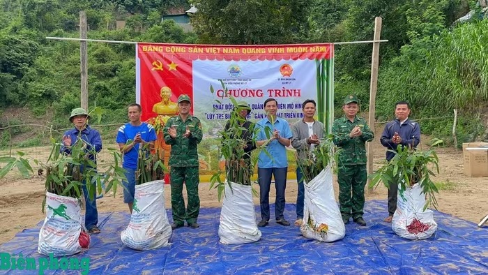 Nghệ An: Ra quân thực hiện mô hình 'Lũy tre giữ đất biên cương' gắn với phát triển kinh tế