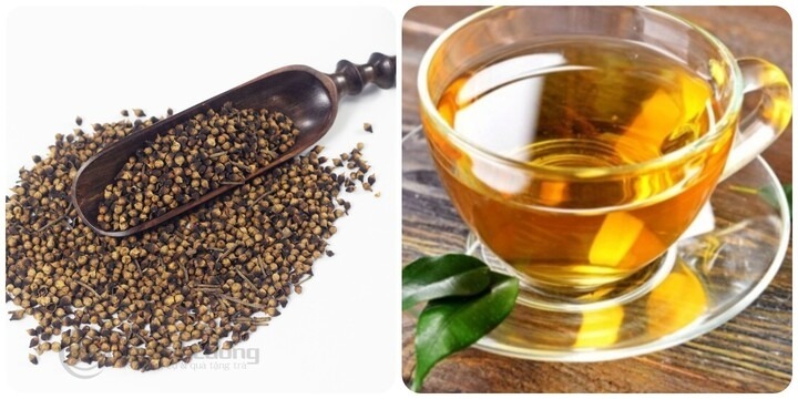 Vì sao trà nụ vối được xem là “thức uống vàng” cho sức khỏe?