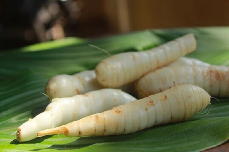 Khám phá công dụng tuyệt vời của củ dong riềng đối với cơ thể
