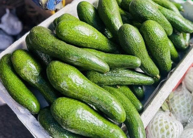 Nên ăn bơ thế nào để hỗ trợ giảm cân hiệu quả?