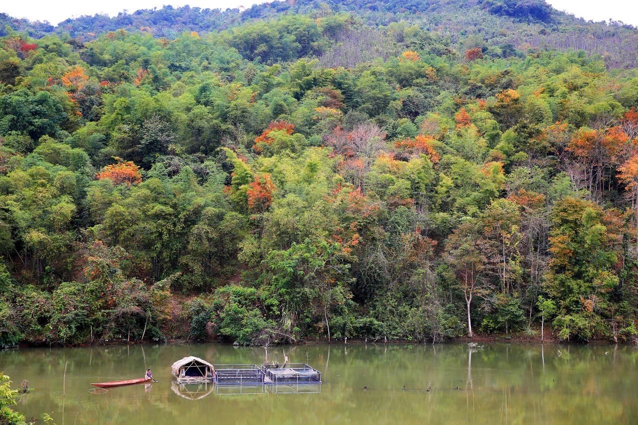 Nghệ An: Giao hơn 200.000ha đất rừng cho hộ gia đình và cộng đồng quản lý