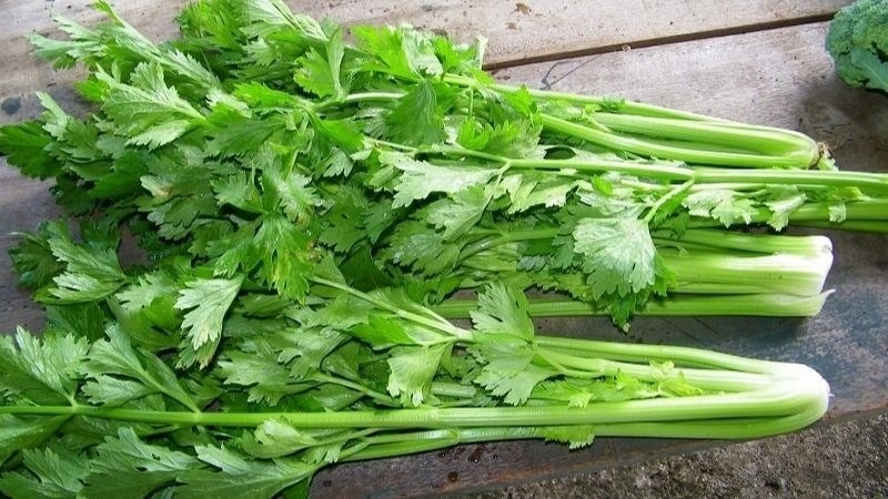 Khám phá công dụng bất ngờ của rau cần tây