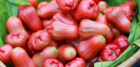 Việt Nam có “nữ hoàng trái cây”, ăn vào bổ đủ đường lại không lo tăng cân