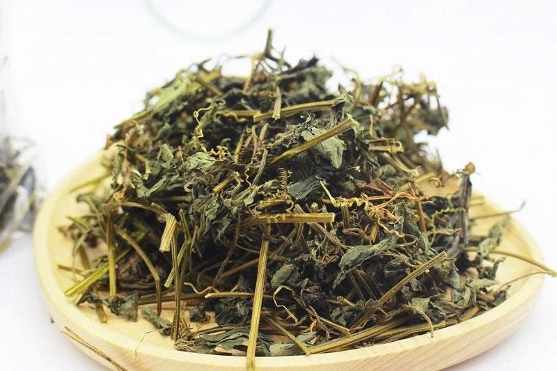 Giảo cổ lam: Vị thảo dược được ví “quý hơn sâm” có gì đặc biệt?