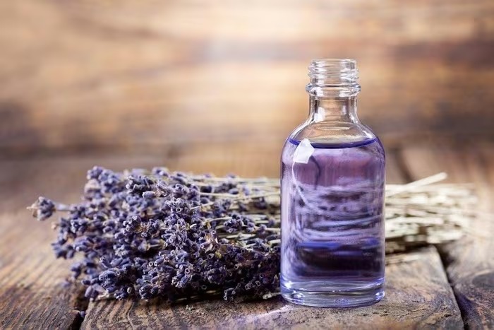 Vì sao tinh dầu lavender được xem là 'thần dược' cho sức khỏe và làn da?