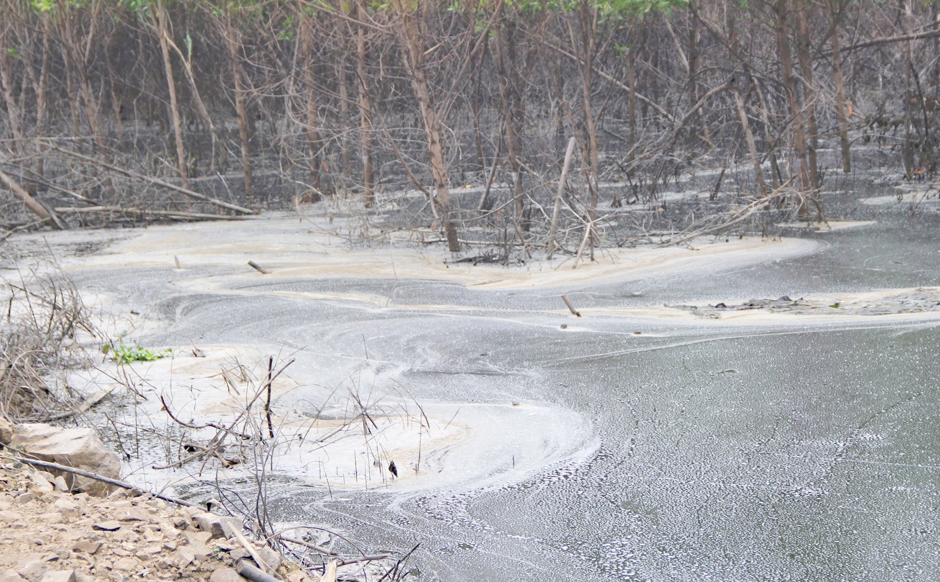 Nghệ An: Xử phạt 180 triệu đồng trong lĩnh vực môi trường