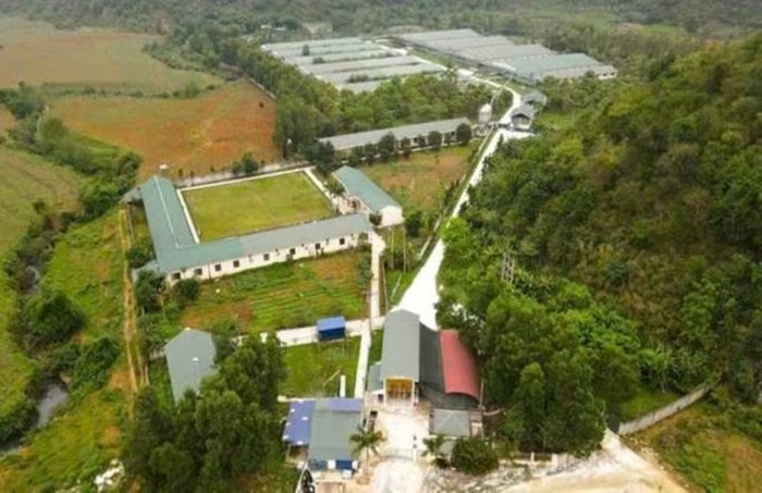 Phạt Công ty chăn nuôi Bình Sơn 408 triệu đồng do xả thải vượt quy chuẩn