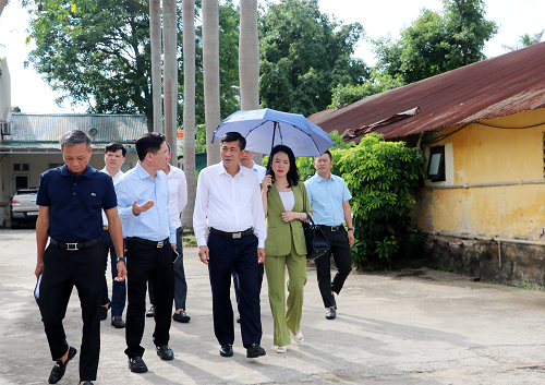 Phó Chủ tịch UBND tỉnh Thái Văn Thành làm việc về một số nhiệm vụ trọng tâm lĩnh vực thể dục, thể thao
