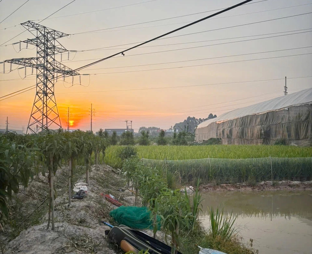 Câu cá dưới đường điện cao thế, người đàn ông tử vong do điện giật ở Bắc Ninh