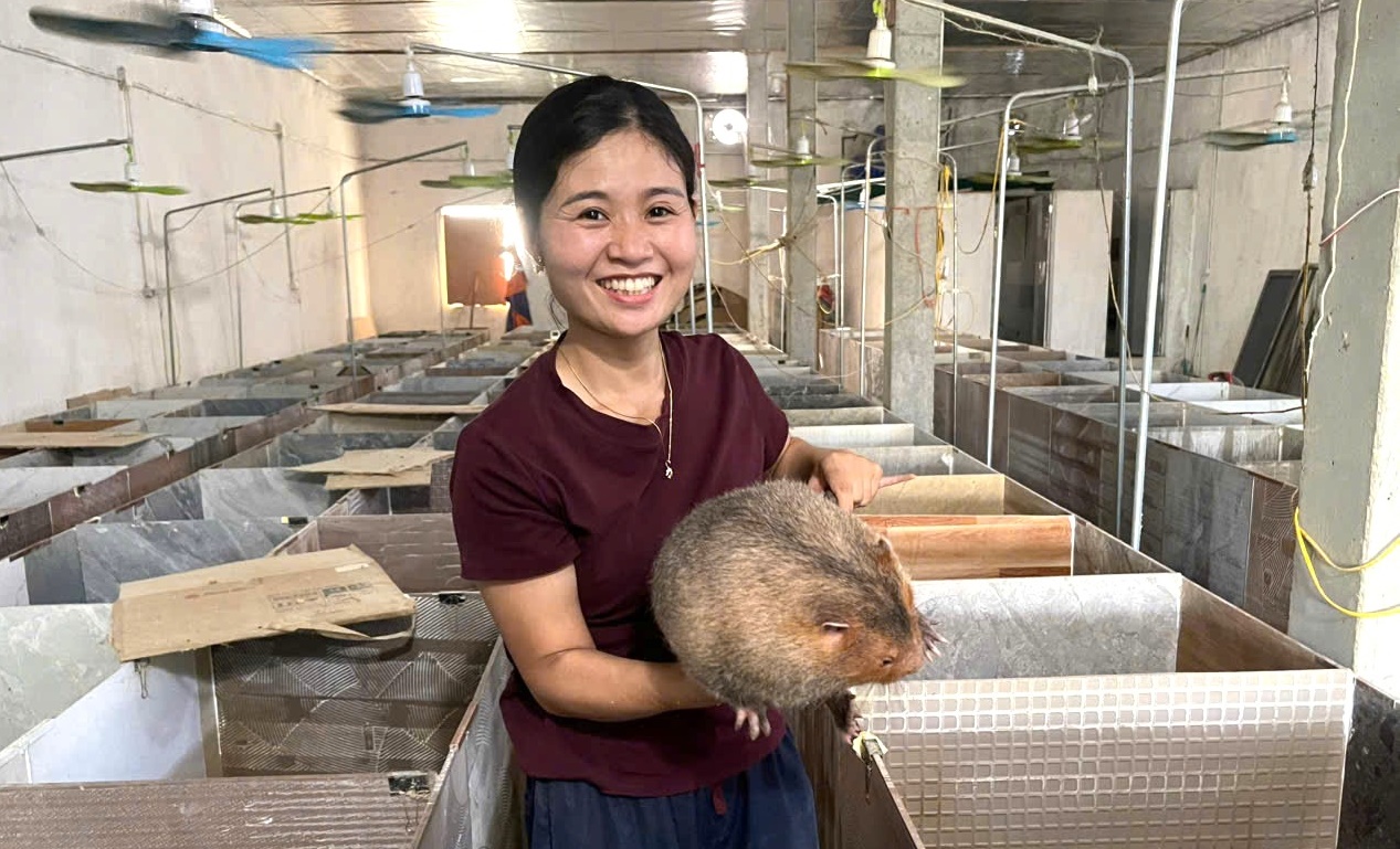 Cặp vợ chồng ở Nghệ An về quê nuôi con “ngủ ngày cày đêm” lãi hàng trăm triệu đồng