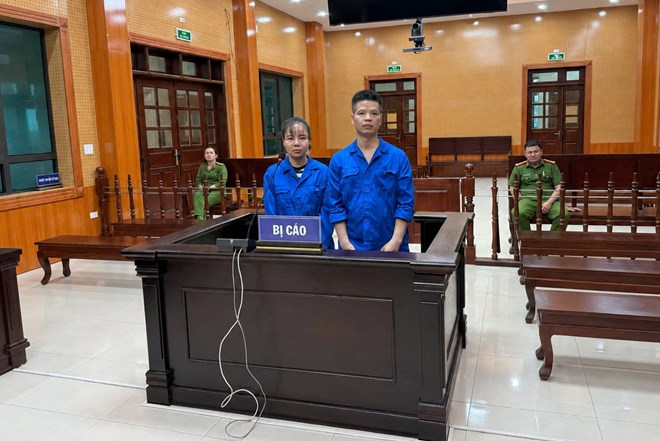 Thuê nhà ở Móng Cái, tuyển