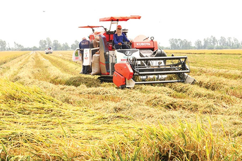 Công bố 01 thủ tục hành chính trong lĩnh vực trồng trọt và bảo vệ thực vật thuộc chức năng quản lý của Sở Nông nghiệp và Môi trường
