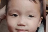 Nghệ An: Tìm thấy cháu bé hai tuổi mất tích sau 3 ngày tìm kiếm