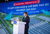 Vilico - công ty con Vinamilk và dấu ấn chuyển mình với dự án bò thịt nghìn tỉ
