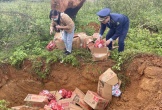 Nghệ An: Hàng nghìn gói xúc xích, chân gà không rõ nguồn gốc bị tịch thu và tiêu huỷ