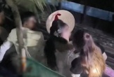 Độc lạ đám cưới rước dâu đúng 12h đêm, mẹ chồng còn ra loạt yêu cầu khiến nhiều người ngán ngẩm