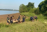 Nghệ An: Tìm thấy thi thể người phụ nữ nhảy cầu Bến Thủy tự tử