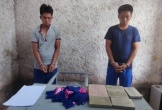 Hai anh em vận chuyển 7 bánh heroin xuyên quốc gia