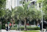 Người đàn ông 74 tuổi nghi rơi từ tầng 19 chung cư xuống đất tử vong