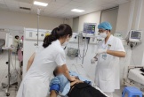 Ăn trứng cóc, hai mẹ con phải nhập viện cấp cứu