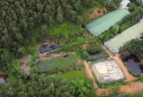 Hà Tĩnh: Hàng loạt trang trại lợn xây dựng trái phép trên đất rừng sản xuất gây ô nhiễm môi trường