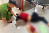 Đến tòa để hòa giải ly hôn, chồng đâm vợ trọng thương