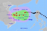 Bão Trà Mi mạnh lên cấp 11, giật cấp 14, hướng vào vùng biển ven bờ Trung Trung Bộ