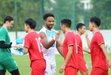 Dùng cầu thủ nhập tịch tại ASEAN Cup 2024, lãnh đạo VFF nói gì?