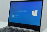 Microsoft gấp rút ngừng triển khai bản cập nhật Windows 11 đến nhiều máy tính