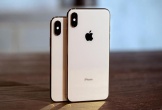 Top 3 mẫu iPhone giá dưới 5 triệu đáng mua nhất 2024