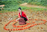 Lễ hội hoa gạo Nghệ An thu hút hàng nghìn người
