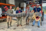 Bốn thợ săn bắt được cá sấu khổng lồ dài 4,3 mét, nặng 364 kg