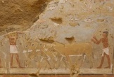 Bí ẩn mộ đôi 'mê cung' 4.300 tuổi của nữ tư tế Ai Cập