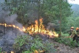Tăng cường các biện pháp phòng cháy chữa cháy rừng trên địa bàn tỉnh năm 2024