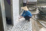 Nghệ An: Mưa đá xuất hiện cục bộ tại nhiều xã ở miền núi