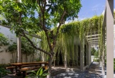 Văn phòng mọc giữa rừng cây “độc nhất vô nhị” tại Khánh Hòa