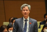 Phê chuẩn ông Đào Hồng Vận làm Trưởng đoàn đại biểu Quốc hội tỉnh Hưng Yên