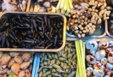 'Ăn sập' chợ đêm Quy Nhơn - thiên đường ẩm thực hấp dẫn