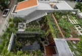 Báo Mỹ ngỡ ngàng ngôi nhà trồng rừng cây trên mái ở Nha Trang