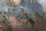 Một phụ nữ thiệt mạng khi tham gia chữa cháy rừng