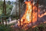 Chủ động, tăng cường các biện pháp cấp bách phòng cháy, chữa cháy rừng