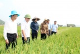 Phó Chủ tịch UBND tỉnh Nguyễn Văn Đệ kiểm tra tiến độ xây dựng huyện nông thôn mới tại Nghĩa Đàn