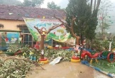 Nghệ An: Liên tục mưa đá kèm lốc xoáy khiến nhiều nhà cửa bị hư hỏng