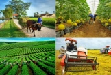 Đẩy mạnh hoàn thiện chiến lược phát triển các sản phẩm, nhóm sản phẩm chủ lực của ngành Nông nghiệp